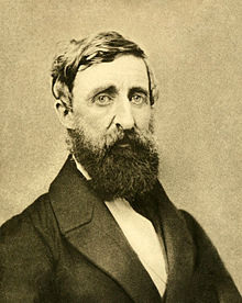 Thoreau, Henry David | Internet Encyclopedia of Philosophy