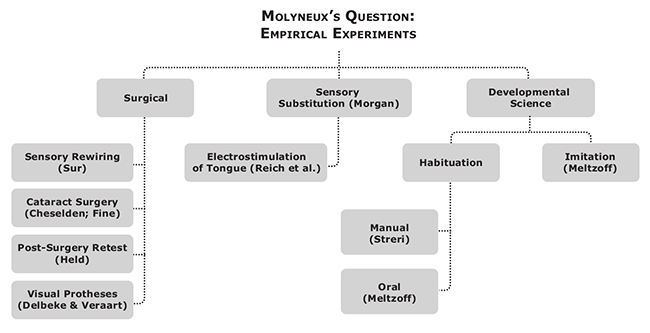 molyneux-4
